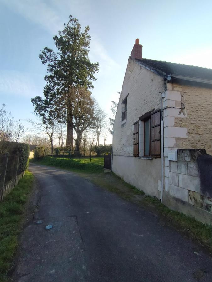 Gite Du Vieux Cedre Ecueille Esterno foto